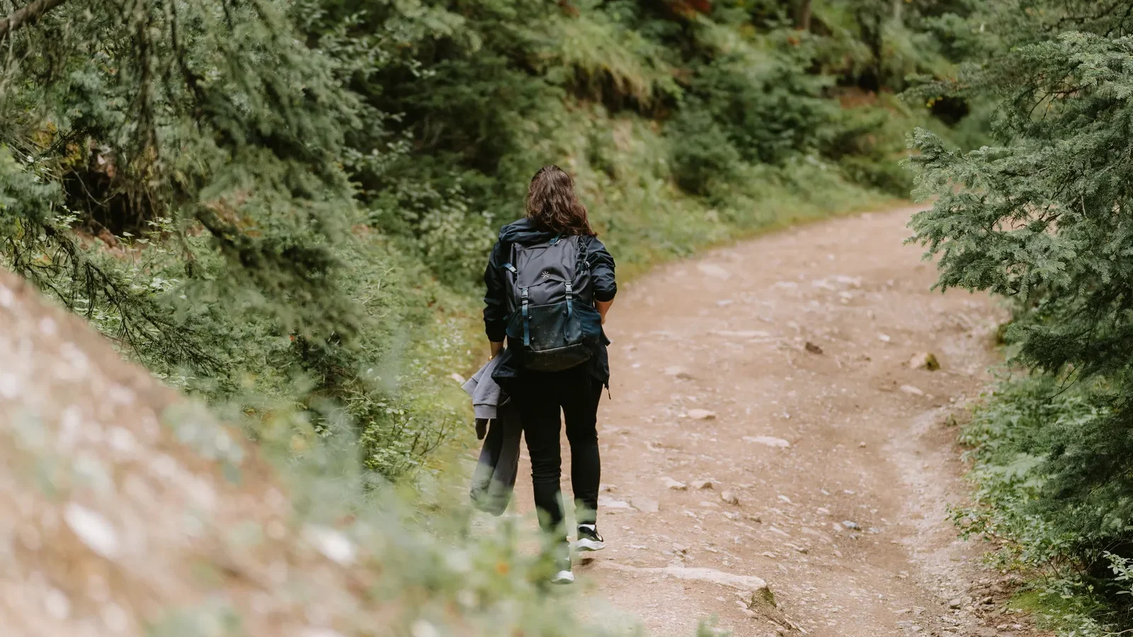 Hiker with a backpack walking along a dirt trail through forest in Banff