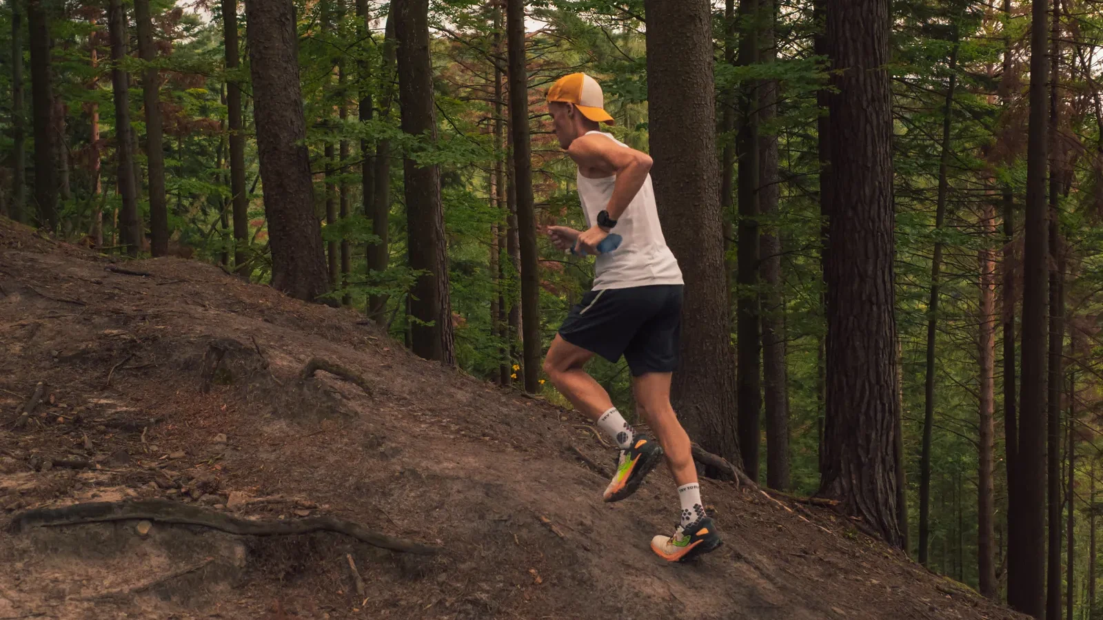 Trail runner climbing a dirt path through a pine forest