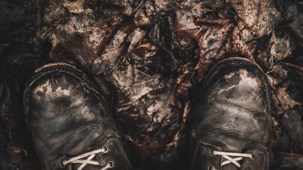 Worn tan leather boots resting on fallen autumn leaves