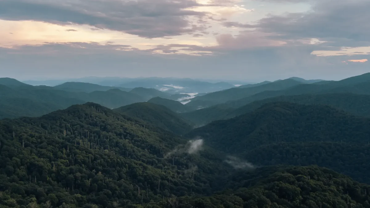 Morning mist between forested ridges of the Great Smoky Mountains