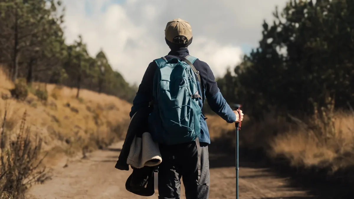 Hiker with a backpack and a wooden walking stick on a forest trail in Mexico