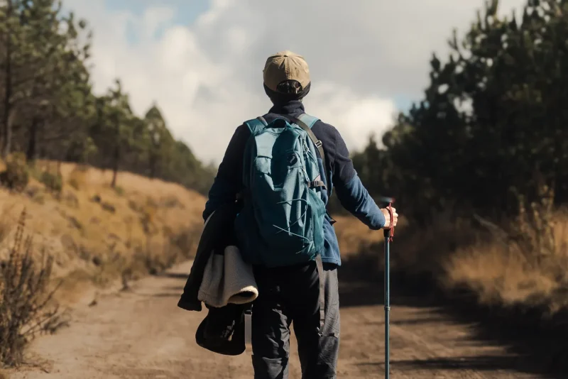 Hiker with a backpack and a wooden walking stick on a forest trail in Mexico