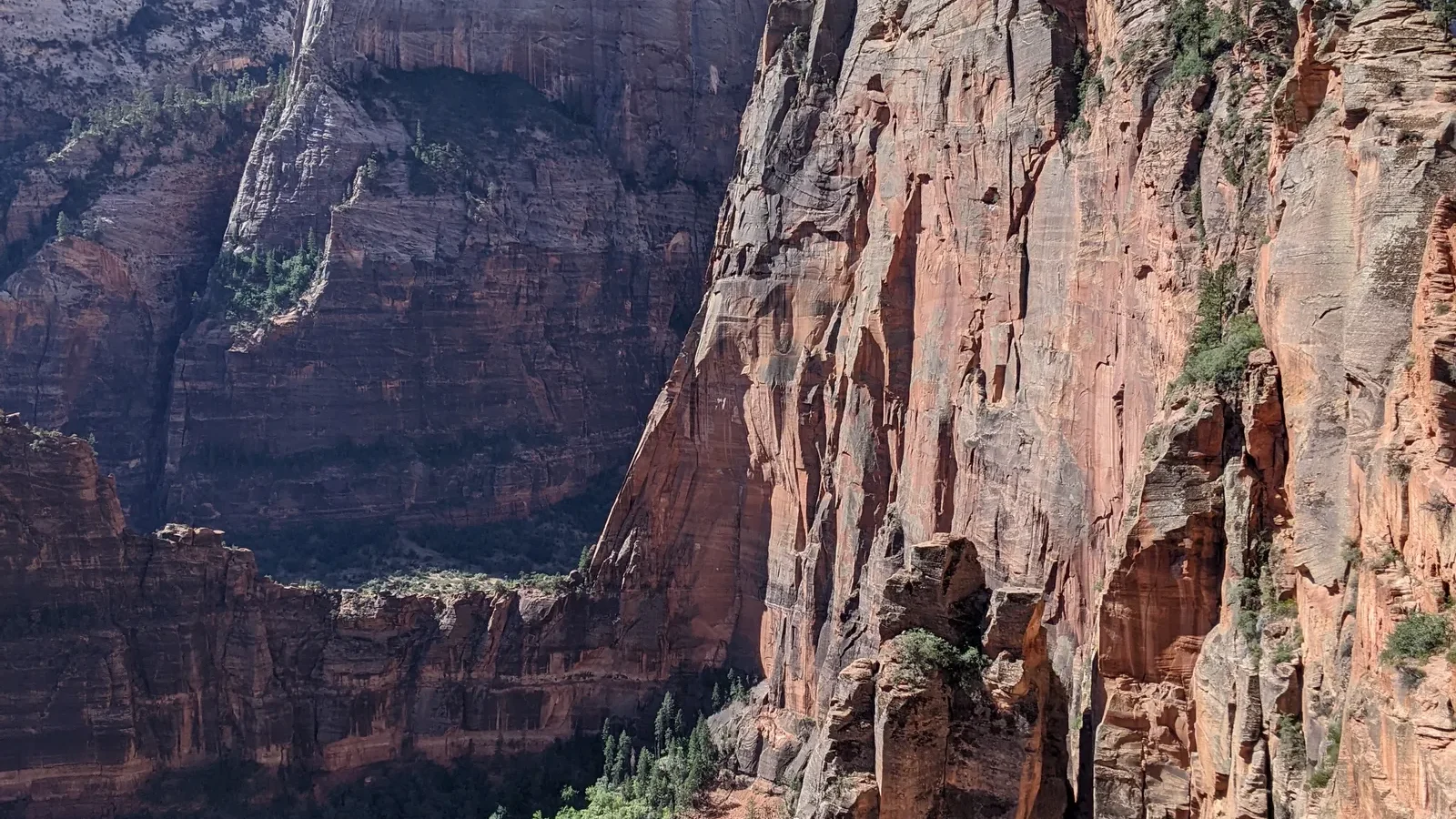 The narrow sandstone ridge of Angels Landing rising above Zion Canyon