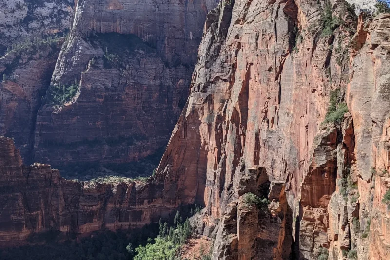 The narrow sandstone ridge of Angels Landing rising above Zion Canyon