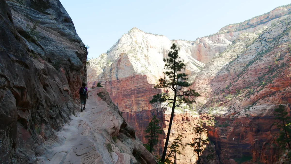 Trail cut into a red rock cliff face with switchbacks in a desert canyon