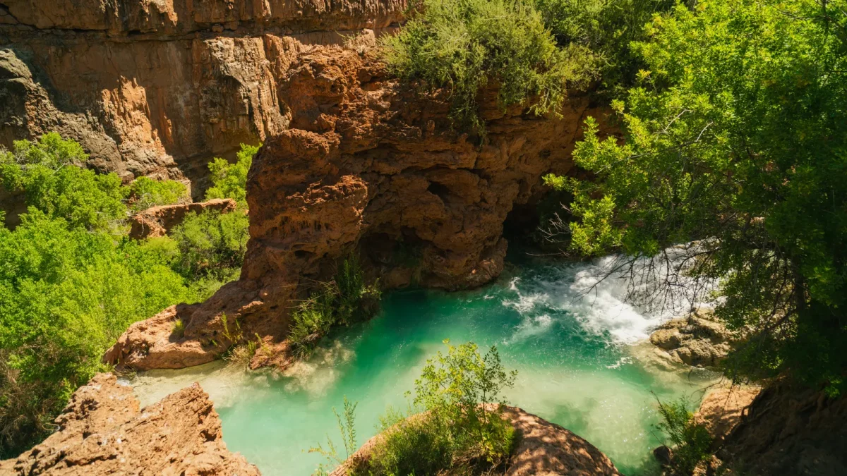 Lush green trees around a turquoise pool inside a desert canyon