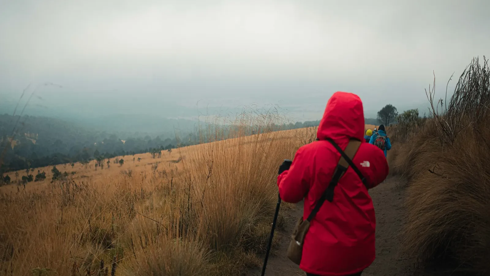 Hiker in a red jacket walking a foggy mountain trail with a trekking pole