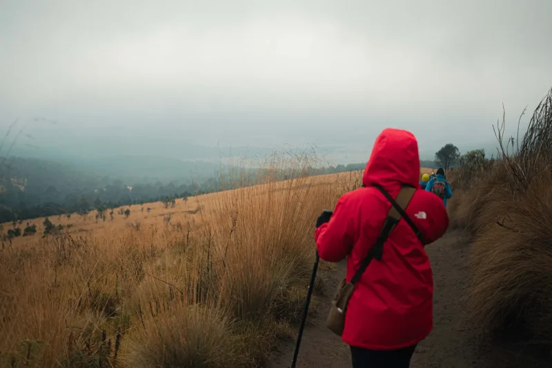 Hiker in a red jacket walking a foggy mountain trail with a trekking pole