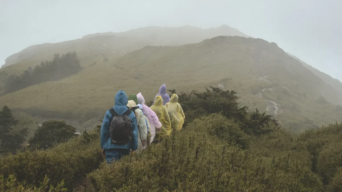 Hikers in colorful rain jackets trekking through misty Taiwan mountains