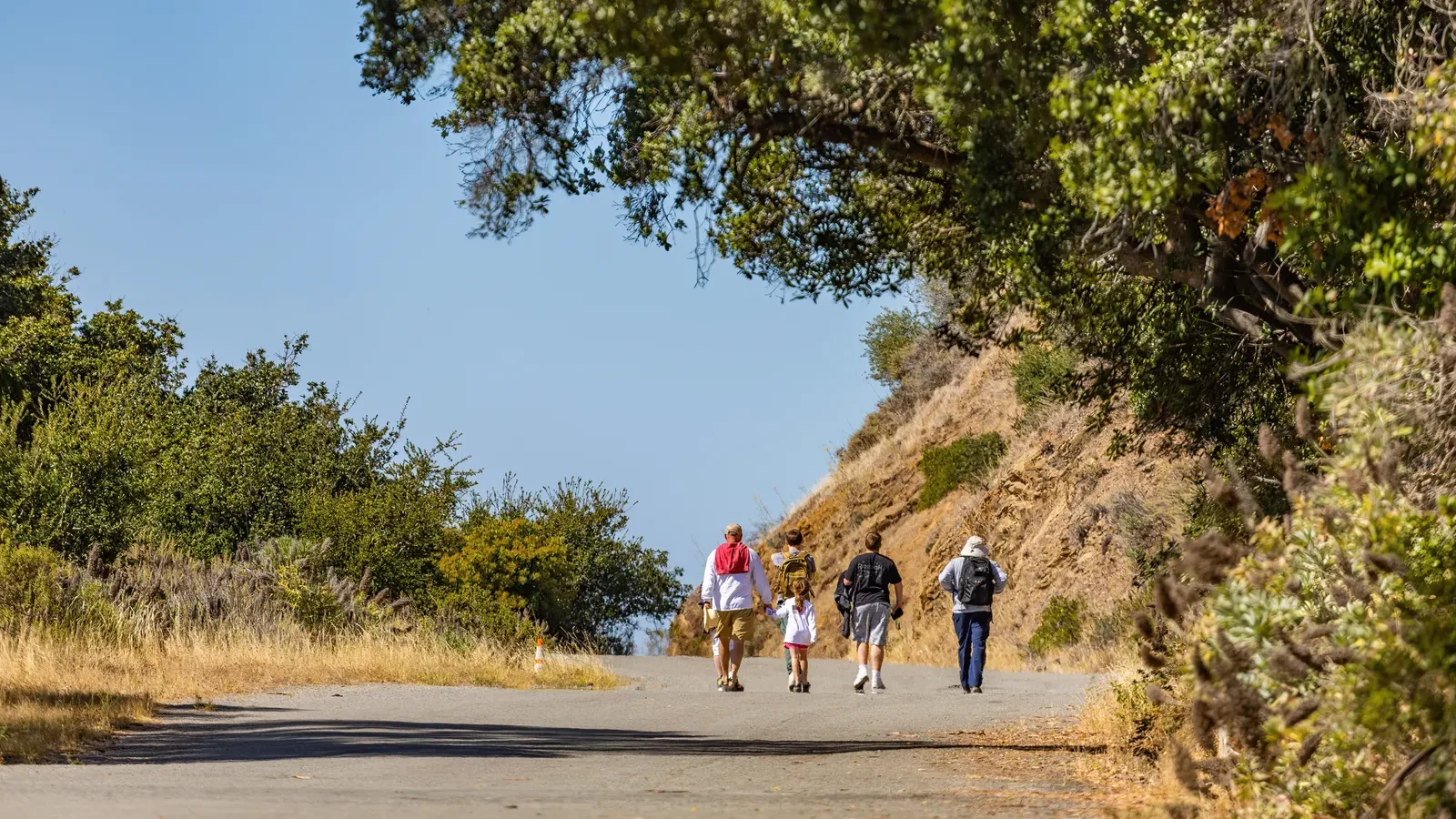A family walking single file up a sunny gravel hillside trail