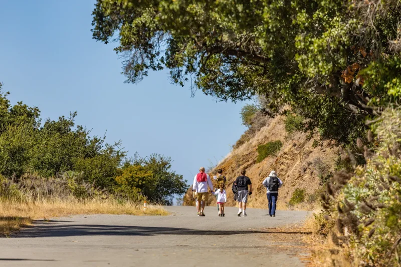 A family walking single file up a sunny gravel hillside trail
