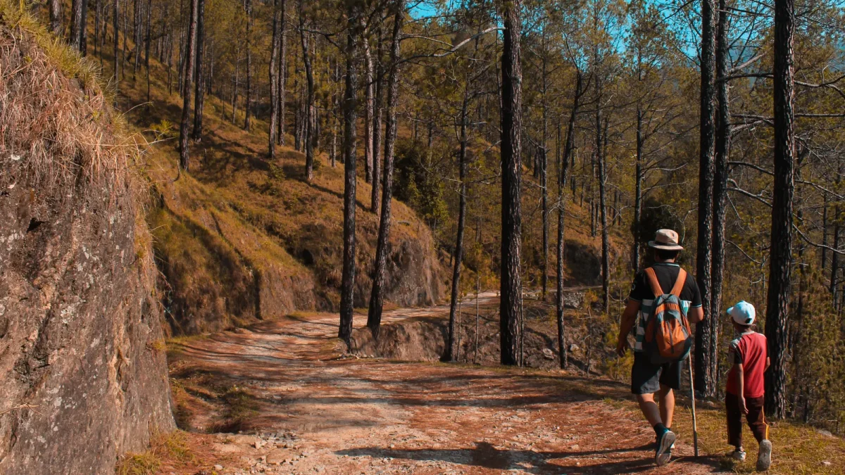 A father and son walking together on a sunlit forest trail