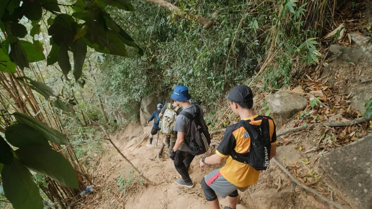 Group of hikers with daypacks walking down a steep, rocky forest trail